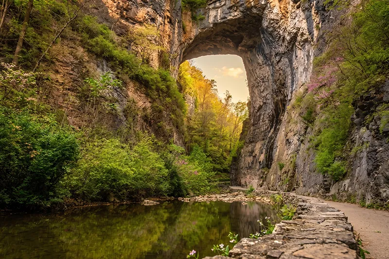 Natural Bridge State Park